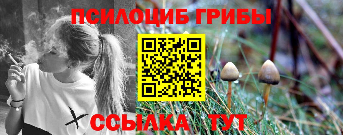 Псилоцибиновые грибы Magic Shrooms  Вход с VPN  Александров 