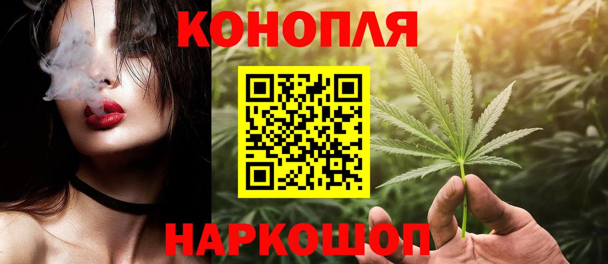 Бошки марихуана сатива Александров